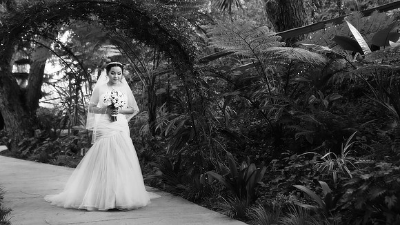 112715de-793 B&W Soft
